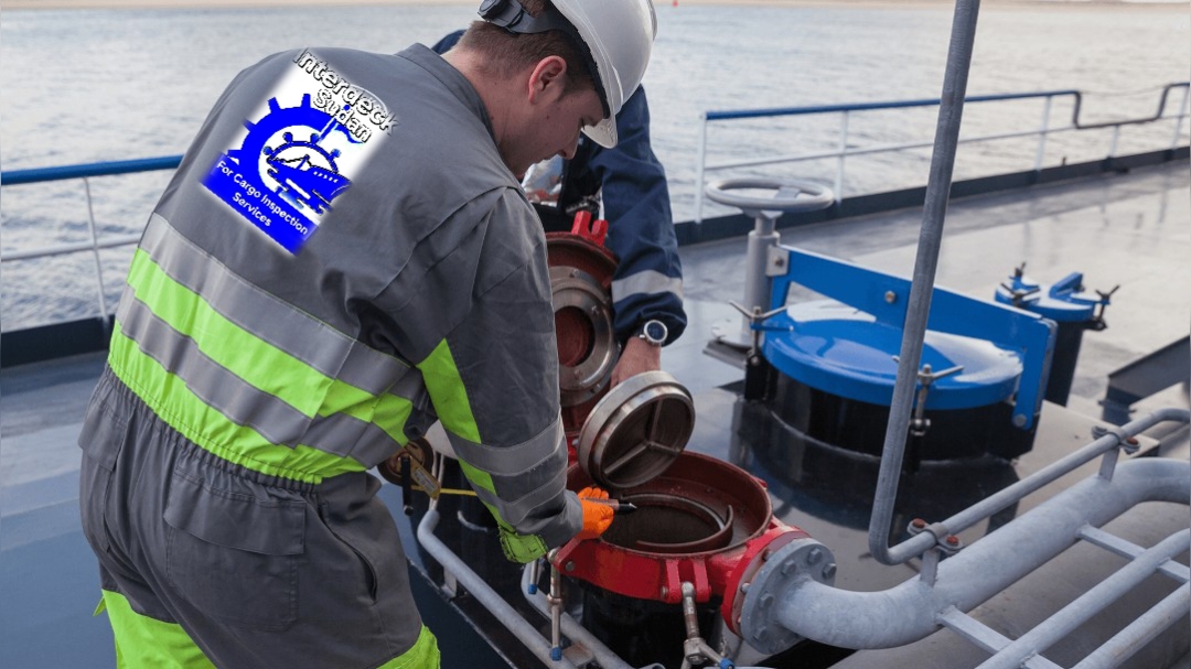 PhotoMixer_1732549659575