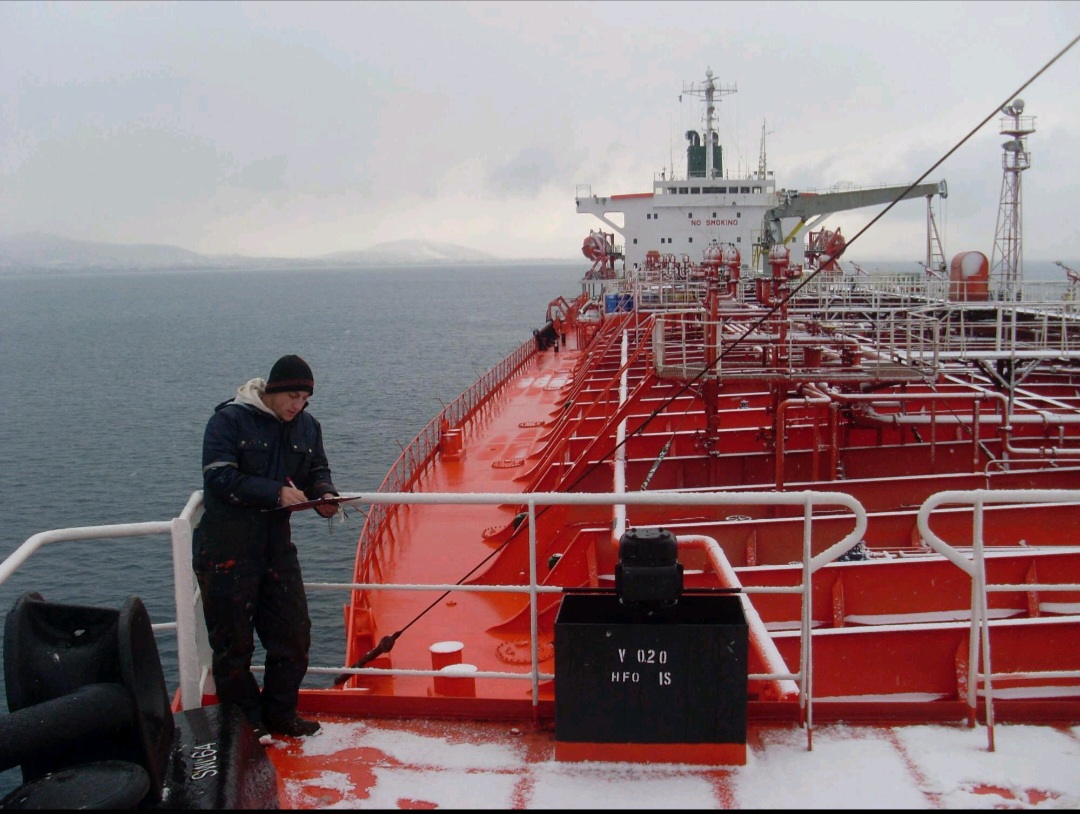 Screenshot_٢٠٢٤١١٢٥_٠٦٥٠١٩_WPS Office